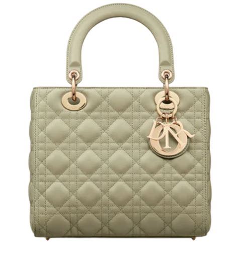 dior sage green bag.